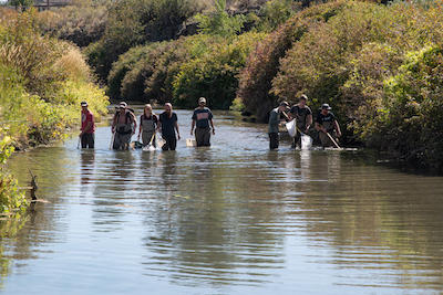 ISU researchers study trout on the lower Portneuf River