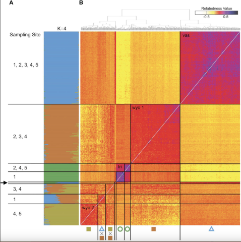 Figure 4 from Frontiers in Plant Science manuscript