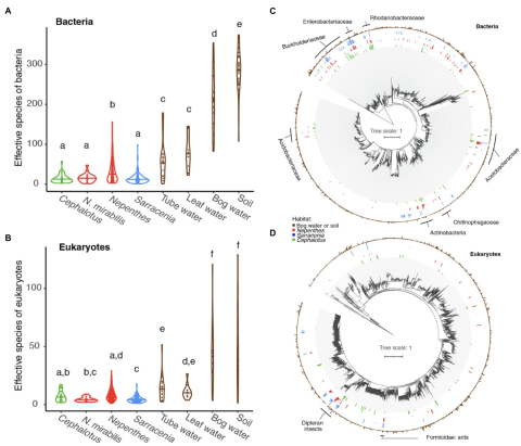 Figure 3 from Frontiers in Plant Science manuscript depicting the Global comparison of pitcher plant-associated communities