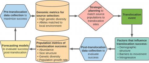 integrating genomics