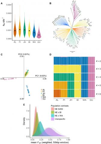 Inter- and intra-specific population genomic analyses of sage-grouse based on whole-genome resequencing.