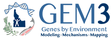 GEM3 thumbnail logo