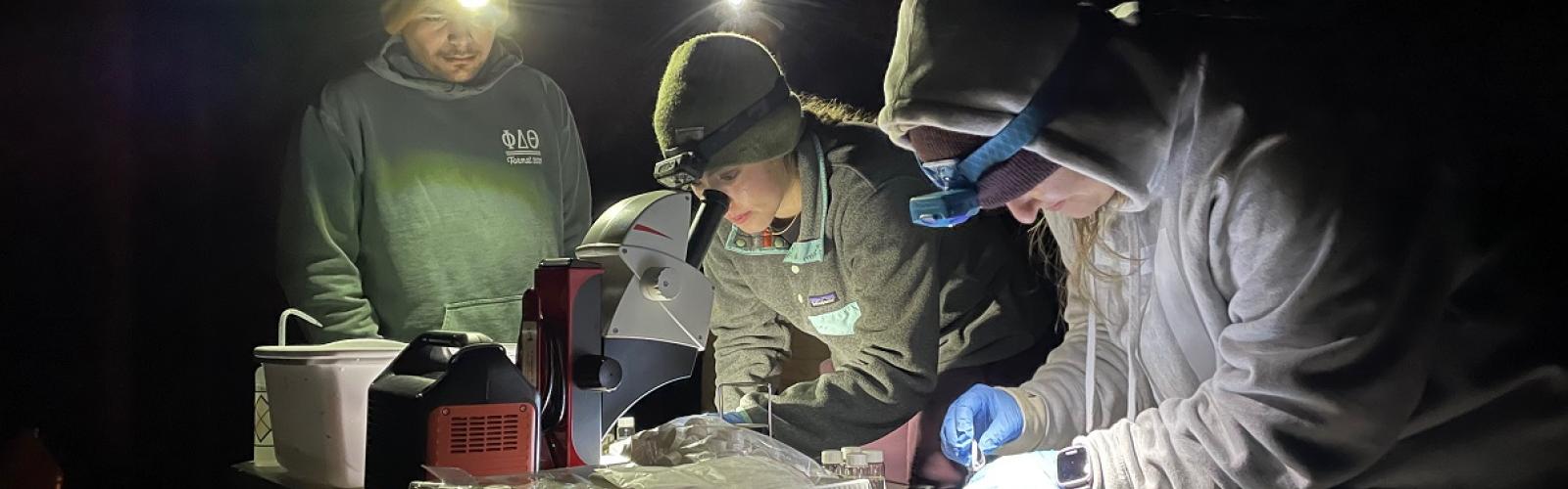 Redband trout research at night